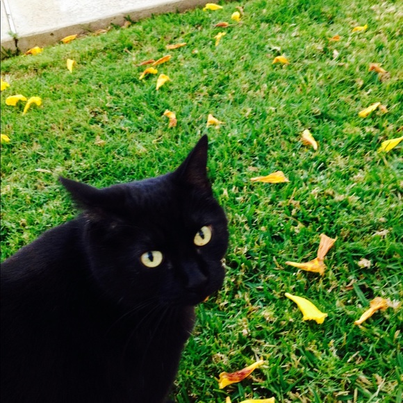 Meet your Posher, Julie - Picture 1 of 16